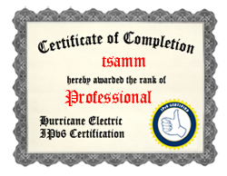 IPv6 Certification Badge for tsamm