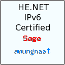 IPv6 Certification Badge for amungnast