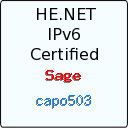 IPv6 Certification Badge for capo503