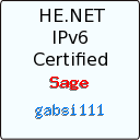 IPv6 Certification Badge for gabsi111